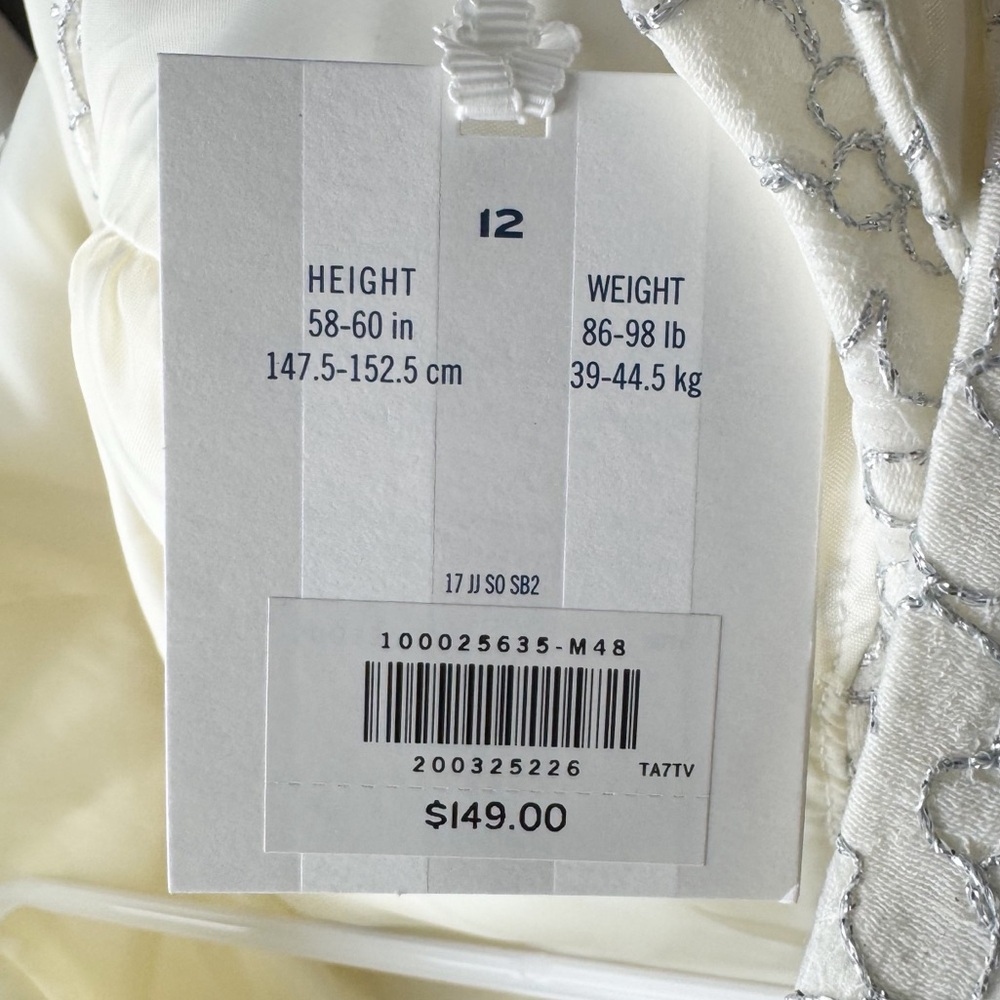 Janie and Jack Cream Lace Special Occasion Formal Dress - Picture 9 of 9
